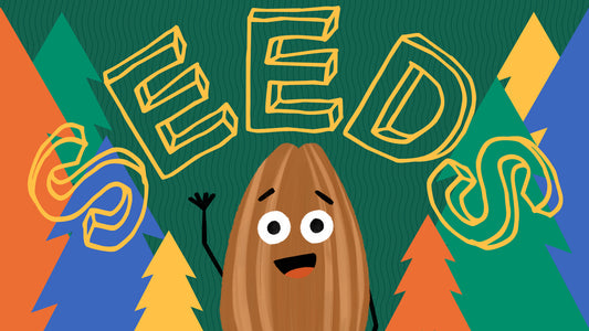Seeds Kids Curriculum