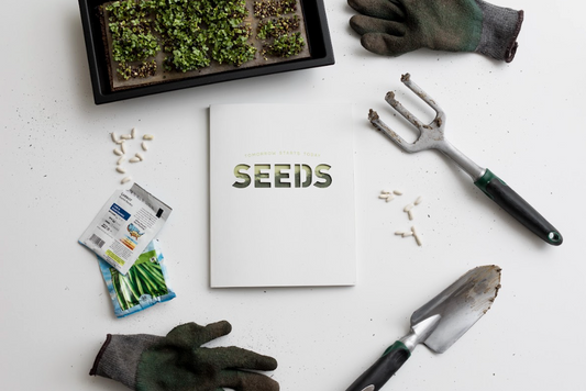 Seeds Campaign