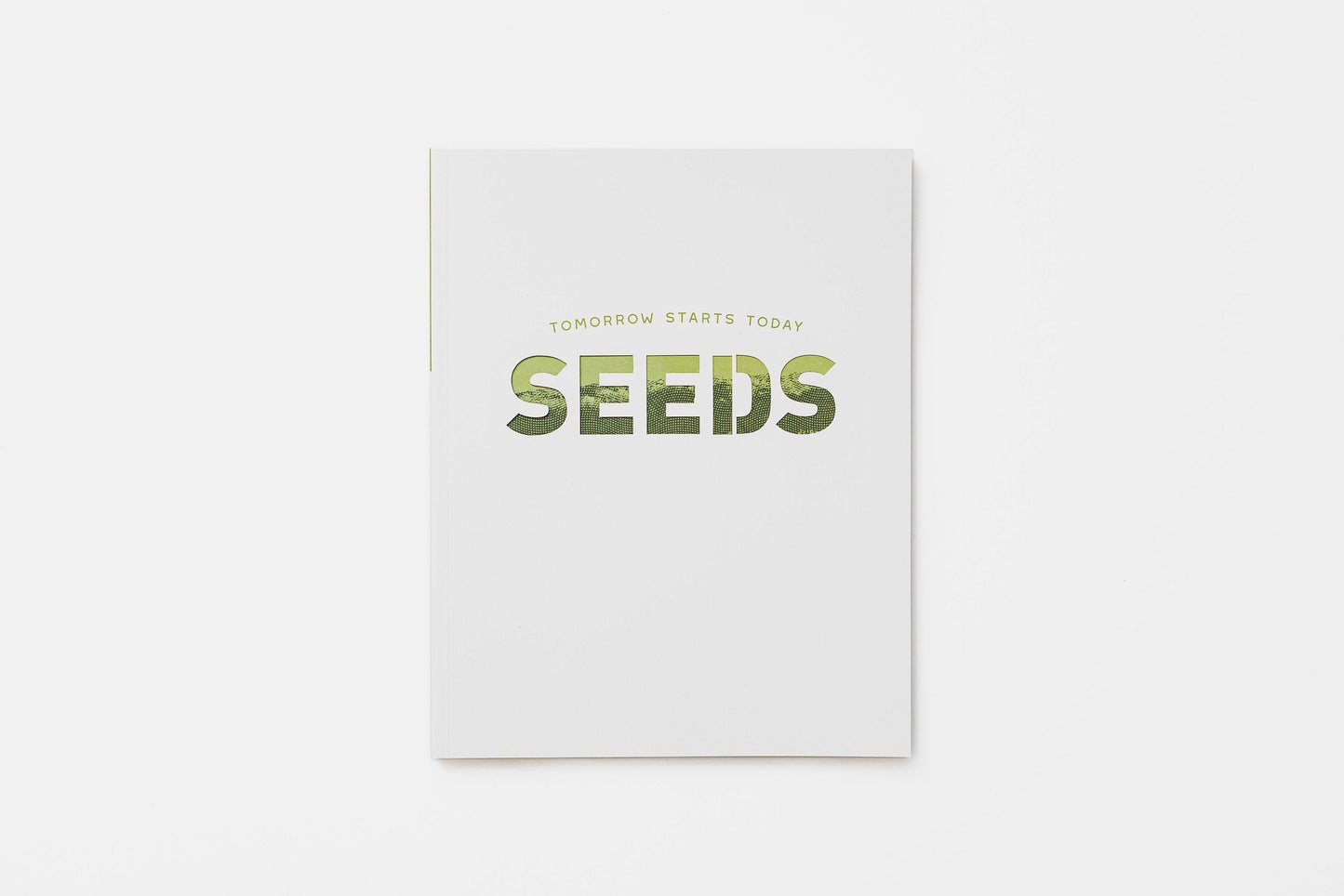 Seeds Study Guide